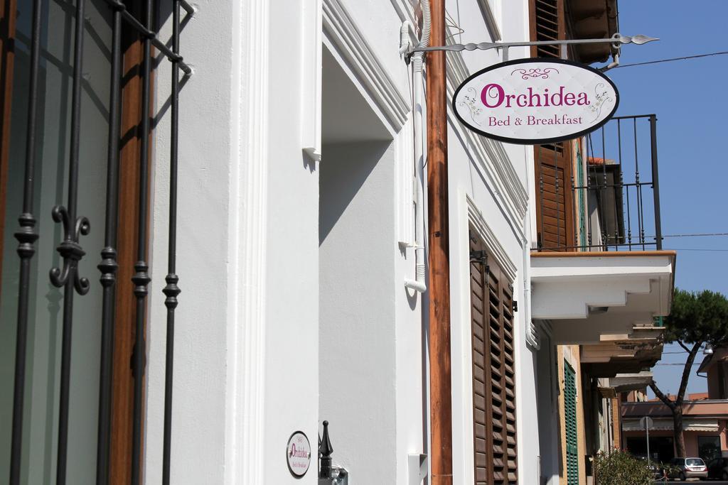 צ'יביטאנובה מארקה Orchidea Rooms & Suites מראה חיצוני תמונה