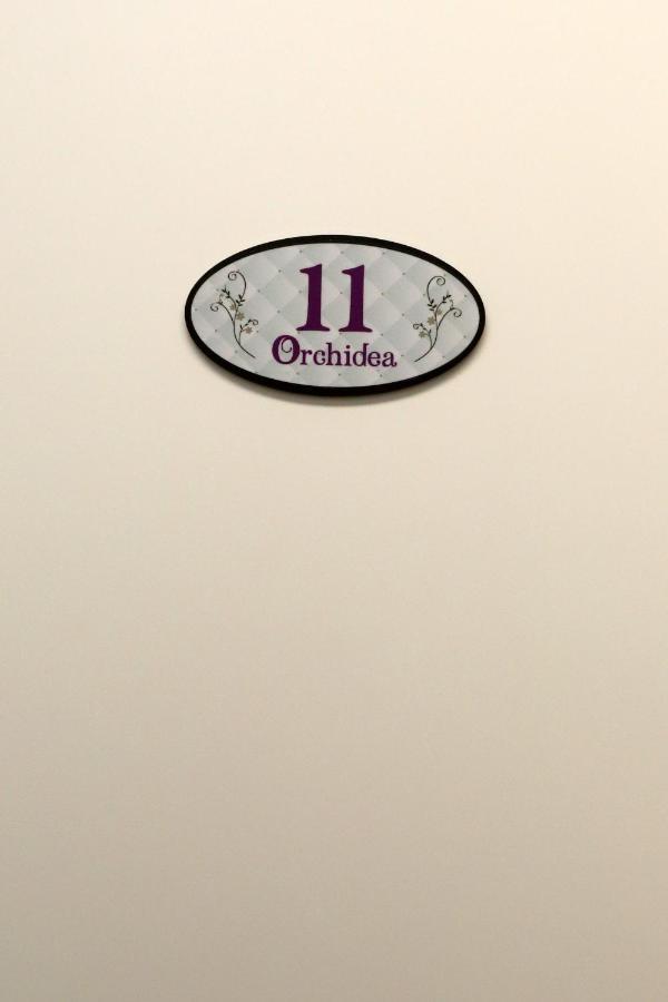 צ'יביטאנובה מארקה Orchidea Rooms & Suites מראה חיצוני תמונה
